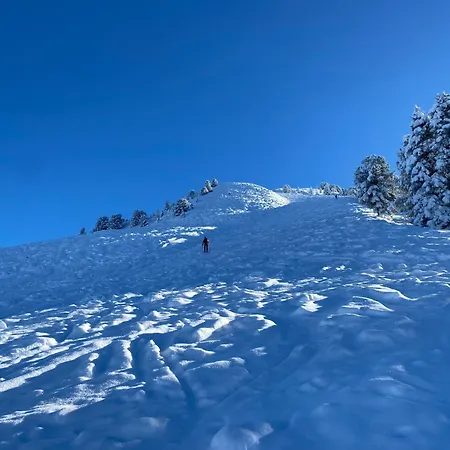 Frankenhof Scharnitz