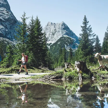 Frankenhof 4* Scharnitz