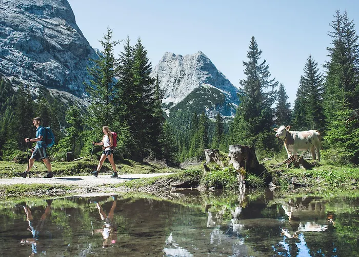 Frankenhof 4* Scharnitz